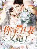 苏少,你家丑妻又跑了