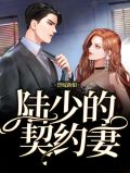 替嫁新娘,陆少的契约妻