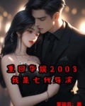 重回华娱2003,我是七代导演